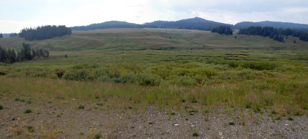 GDMBR: Looking south while still climbing US 26/287 toward Togwotee Pass.